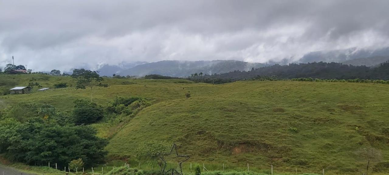 El Rincon De Las Flores Bajo Tigre Zewnętrze zdjęcie
