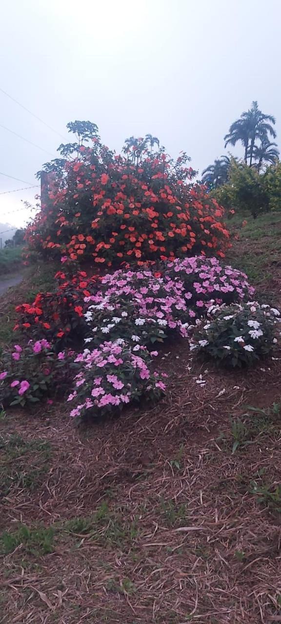 El Rincon De Las Flores Bajo Tigre Zewnętrze zdjęcie