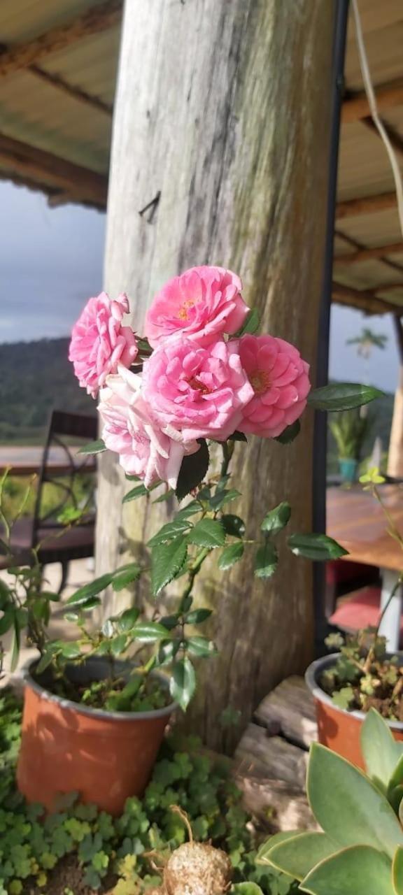 El Rincon De Las Flores Bajo Tigre Zewnętrze zdjęcie