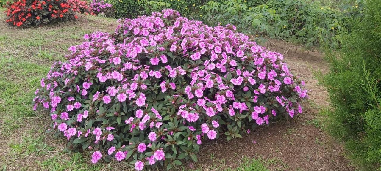 El Rincon De Las Flores Bajo Tigre Zewnętrze zdjęcie