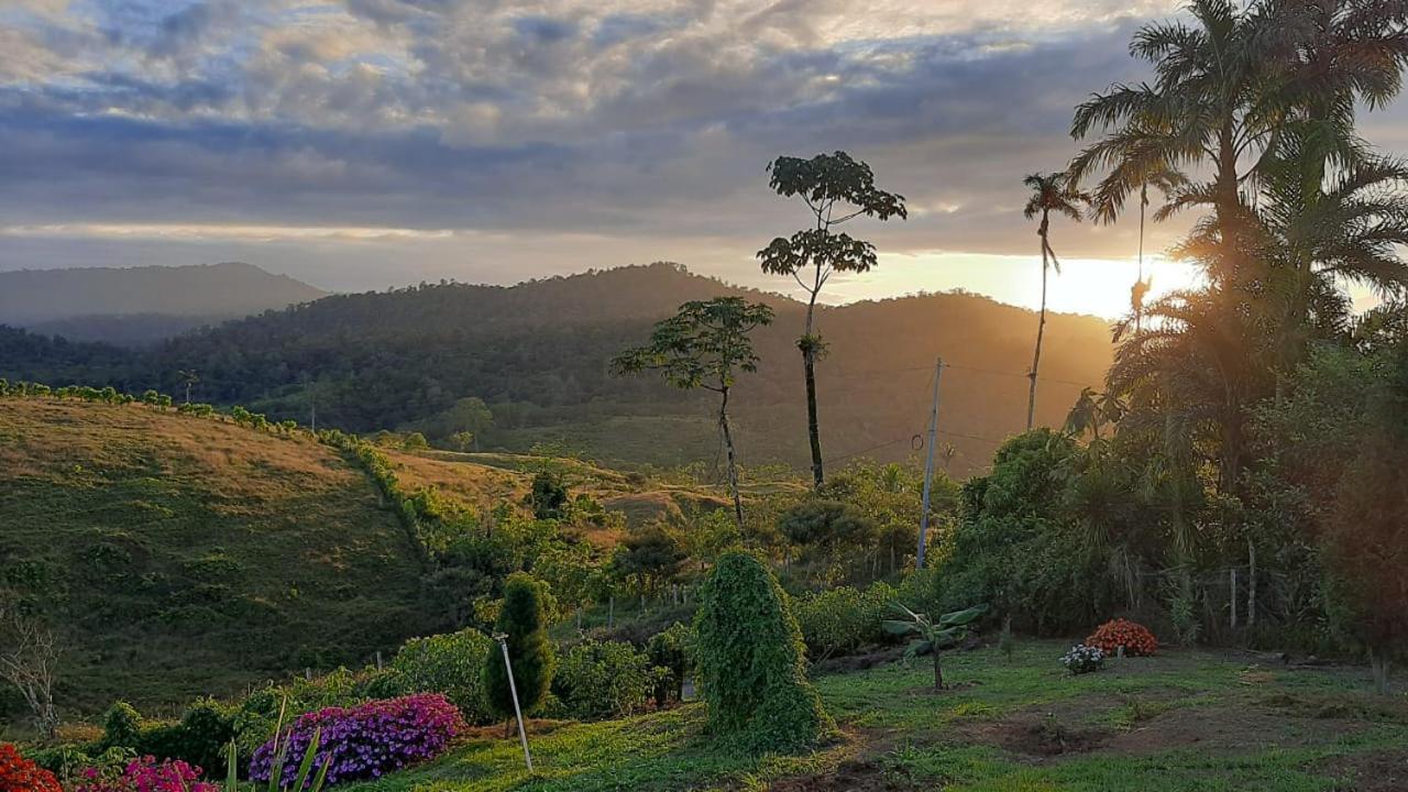 El Rincon De Las Flores Bajo Tigre Zewnętrze zdjęcie
